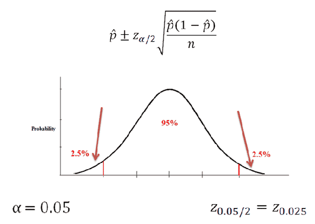 Confidence Interval for a Population Proportion